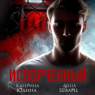 обложка аудиокниги Испорченный. Книга 2