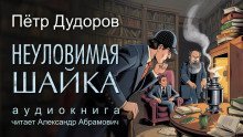 обложка аудиокниги Неуловимая шайка