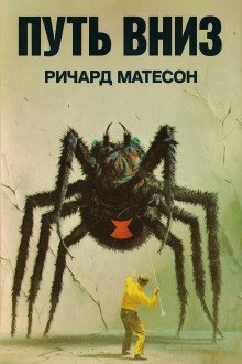 обложка аудиокниги Путь вниз