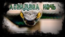 обложка аудиокниги Аспидова ночь