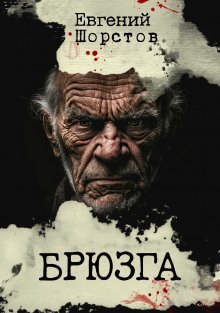 обложка аудиокниги Брюзга