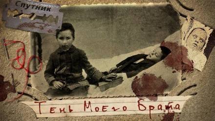 обложка аудиокниги Тень моего брата