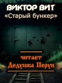 обложка аудиокниги Старый бункер