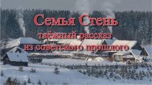 обложка аудиокниги Семья Стень