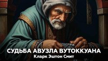 обложка аудиокниги Судьба Авузла Вутоккуана