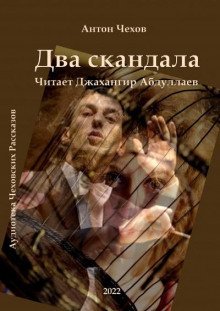 обложка аудиокниги Два скандала