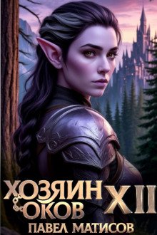 обложка аудиокниги Хозяин Оков XII