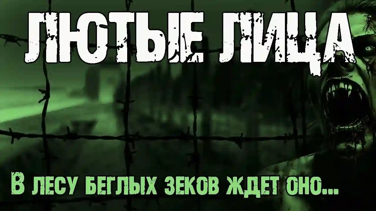 обложка аудиокниги Лютые лица