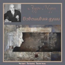 обложка аудиокниги Взвешивая души