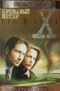 обложка аудиокниги Кровавый ветер