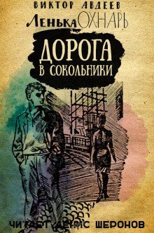 обложка аудиокниги Дорога в Сокольники