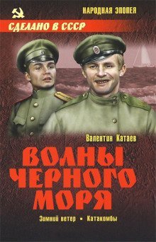 обложка аудиокниги Зимний ветер