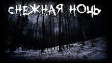 обложка аудиокниги Снежная ночь