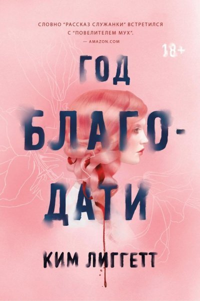 обложка аудиокниги Год благодати