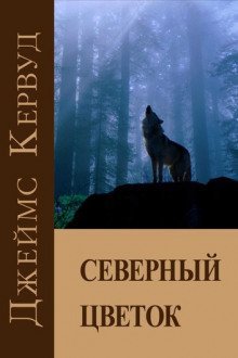обложка аудиокниги Северный цветок