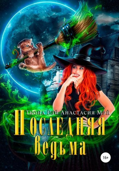 обложка аудиокниги Последняя ведьма