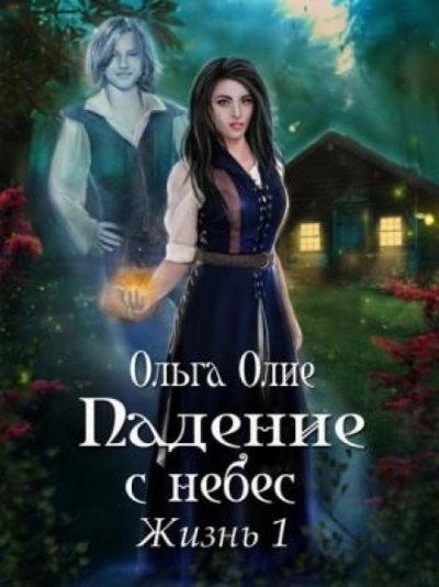 обложка аудиокниги Падение с небес