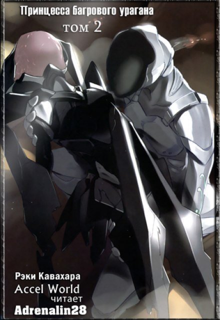 обложка аудиокниги Принцесса багрового урагана