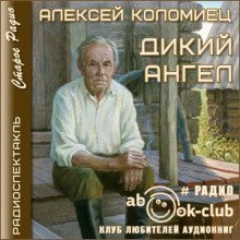 обложка аудиокниги Дикий Ангел