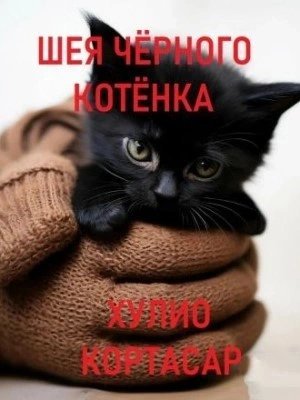 обложка аудиокниги Шея чёрного котёнка