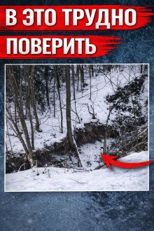 обложка аудиокниги Оранжевое свечение у дороги