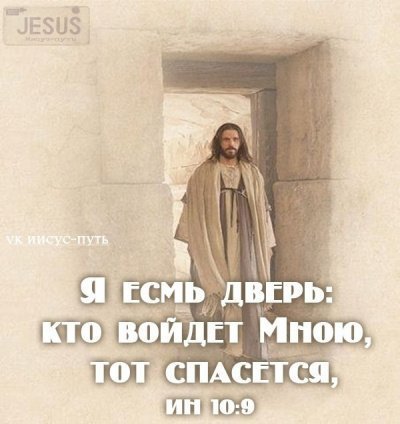 обложка аудиокниги Из Адвокатской практики или по Воле Божьей