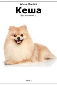 обложка аудиокниги Кеша