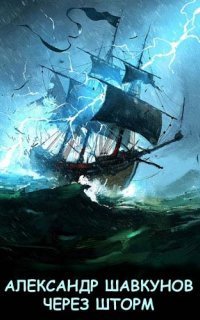 обложка аудиокниги Бастард 6. Через шторм