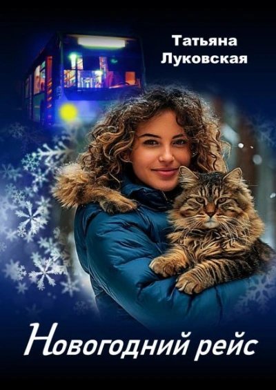 обложка аудиокниги Новогодний рейс