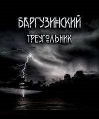 обложка аудиокниги Баргузинский треугольник