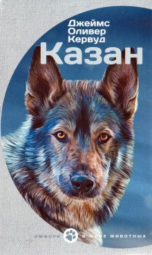 обложка аудиокниги Казан