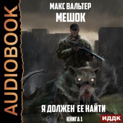 обложка аудиокниги Я должен её найти