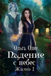обложка аудиокниги Падение с небес. Книга 1