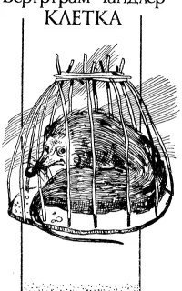 обложка аудиокниги Клетка