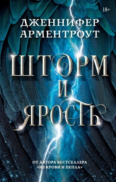 обложка аудиокниги Шторм и ярость
