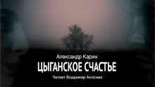 обложка аудиокниги Цыганское счастье