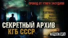 обложка аудиокниги Провод от утюга засудили