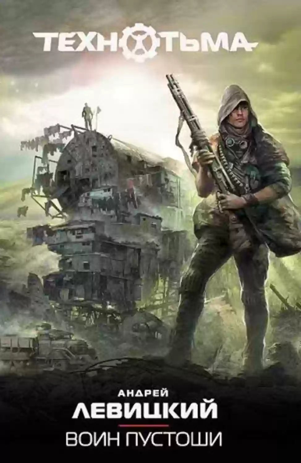 обложка аудиокниги Воин Пустоши