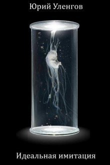 обложка аудиокниги Идеальная имитация