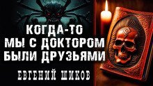 обложка аудиокниги Когда-то мы были друзьями
