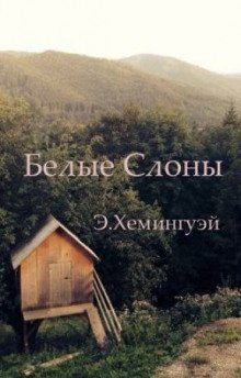обложка аудиокниги Белые слоны