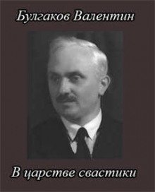 обложка аудиокниги В царстве свастики