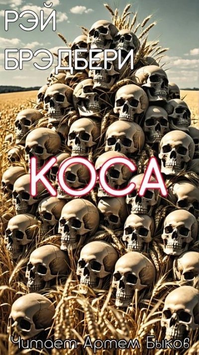 обложка аудиокниги Коса