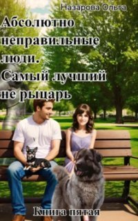 обложка аудиокниги Абсолютно неправильные люди 5. Самый лучший не рыцарь