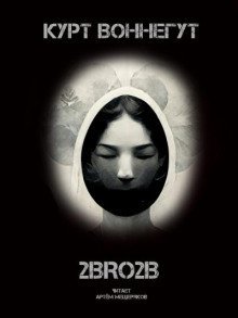 обложка аудиокниги 2BRO2B