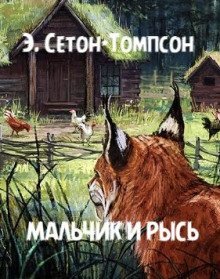 обложка аудиокниги Мальчик и рысь
