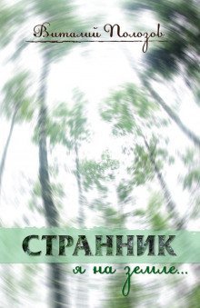 обложка аудиокниги Странник я на земле...