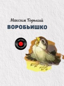 обложка аудиокниги Воробьишко