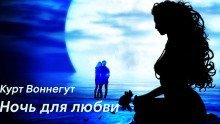 обложка аудиокниги Ночь для любви