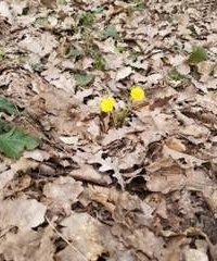 обложка аудиокниги Рефлектор